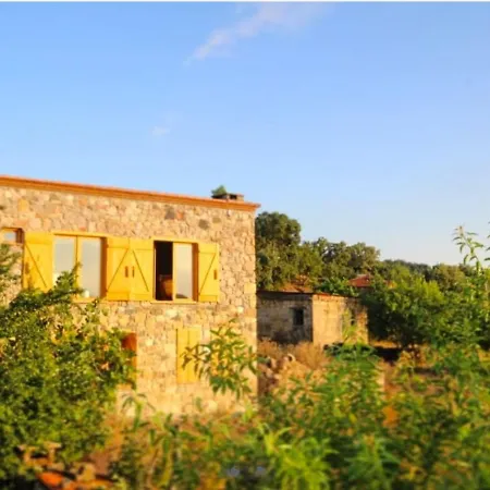 Отель Close To Assos Ancient In Ayvacik